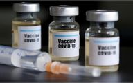 Five Iranian COVID-19 vaccines included in WHO list: IFDA