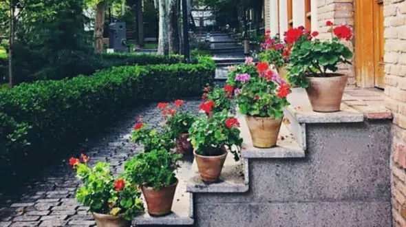 فال و طالع بینی امروز 21 خرداد + فیلم
