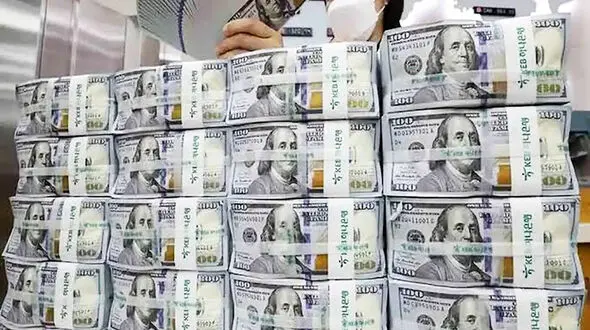 قیمت حواله دلار امروز شنبه 30 خرداد 1405