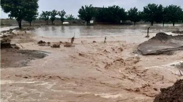 فیلم بارش شدید باران و جاری شدن سیل در حاجی آباد هرمزگان 