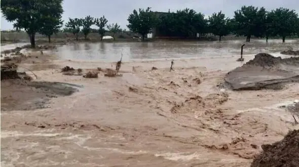 فیلم بارش شدید باران و جاری شدن سیل در حاجی آباد هرمزگان 
