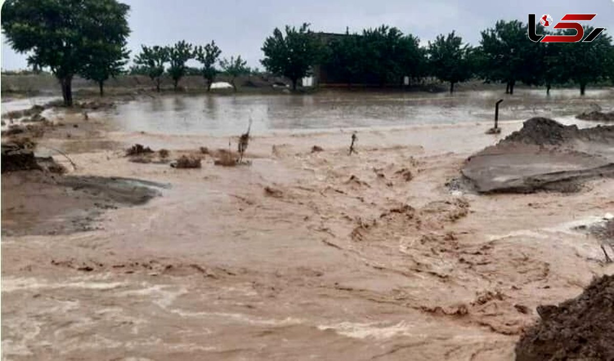 فیلم بارش شدید باران و جاری شدن سیل در حاجی آباد هرمزگان 