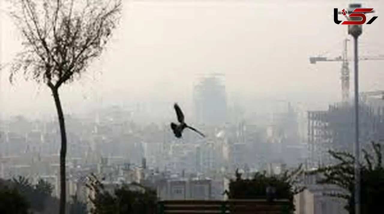 هواشناسی 5 روز آینده؛ گرد و خاک در برخی استان ها و بارش باران در این مناطق کشور!