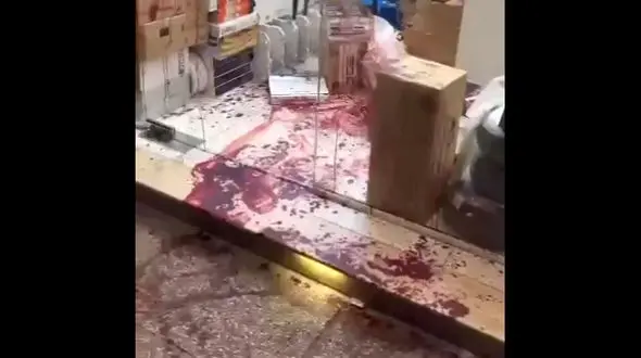 فیلم فاجعه خونین در خیابان منوچهری شیراز / قاتل مسلح به چاقو با شلیک پلیس زمین‌گیر شد