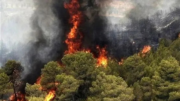 ۷۳ درصد وسعت لرستان را جنگل و مرتع تشکیل داده است/ شناسایی ۱۵۰ نقطه مستعد آتش سوزی در عرصه‌های استان