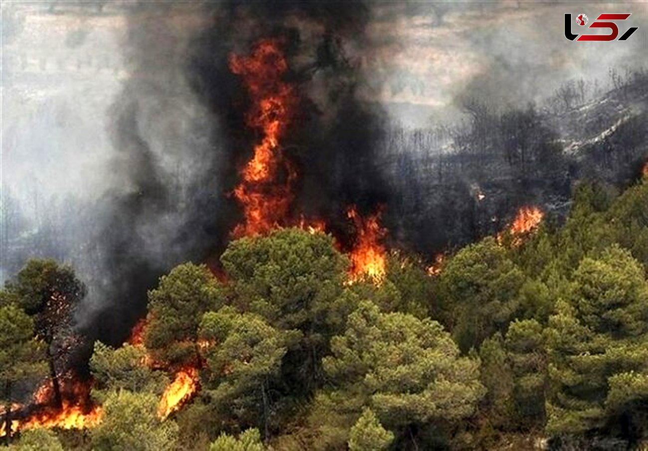 ۷۳ درصد وسعت لرستان را جنگل و مرتع تشکیل داده است/ شناسایی ۱۵۰ نقطه مستعد آتش سوزی در عرصه‌های استان