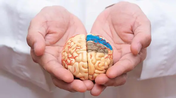 چند راه ساده برای تقویت حافظه / از روش تکرار هوشمند چه می دانید؟
