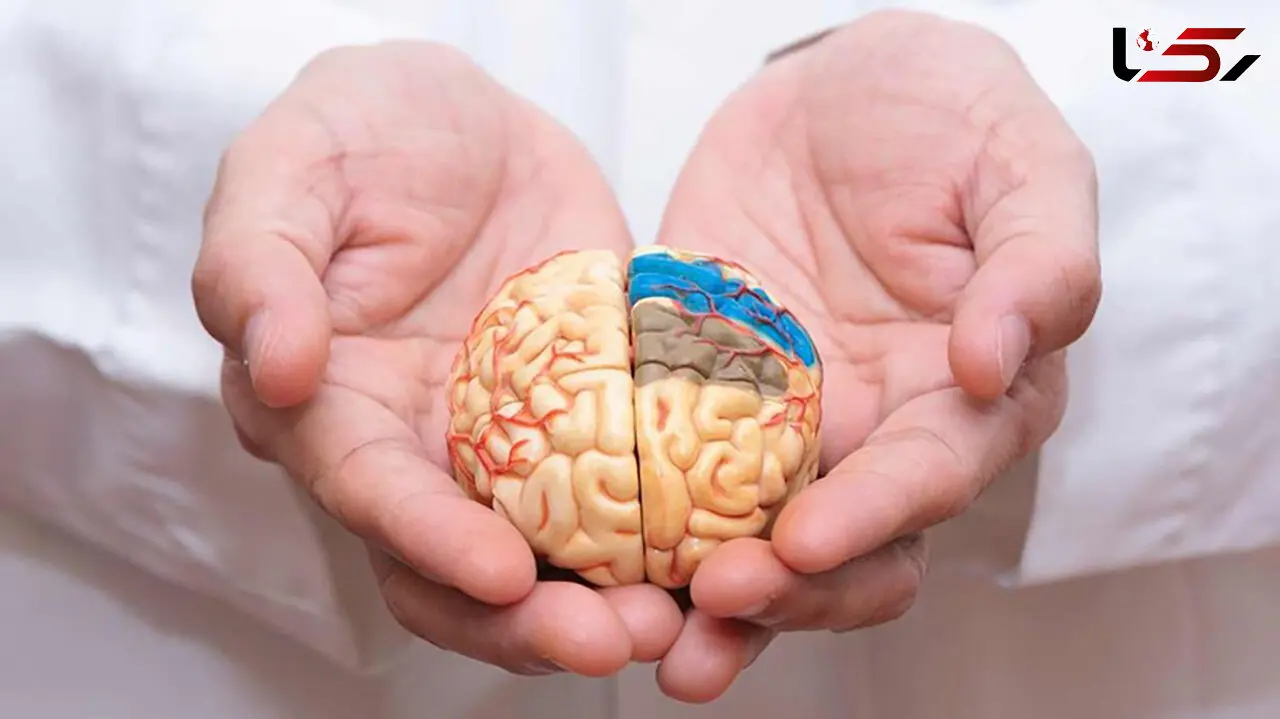 چند راه ساده برای تقویت حافظه / از روش تکرار هوشمند چه می دانید؟