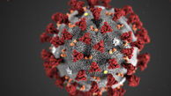 نوع جدیدی از ویروس کرونا در اکوادور کشف شد