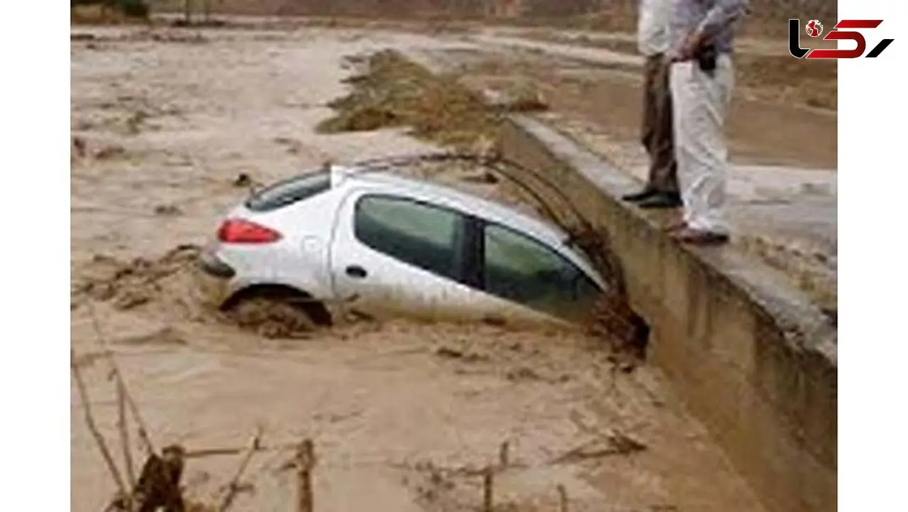 مرگ ناگهانی راننده پژو 206 در رودخانه خروشان لارستان 