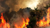 مهار آتش سوزی در تالاب بین المللی کانی برازان