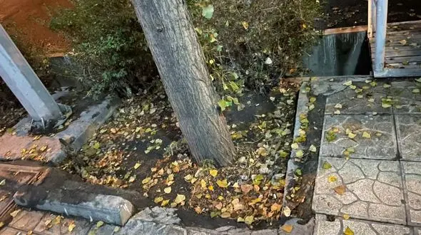 فال ابجد امروز / 7 دی + فیلم