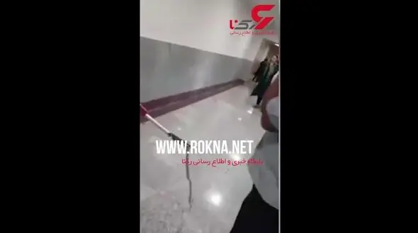 مار 70 سانتی در بین دختران دانشجوی کازرون چه می‌کرد؟ / شب عجیب در 
خوابگاه دختران+فیلم