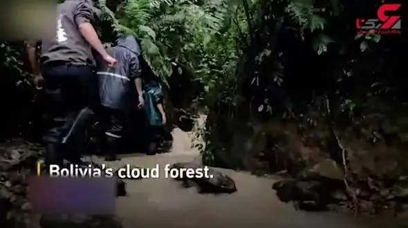  رومئو و ژولیت در دنیای قورباغه ها+فیلم