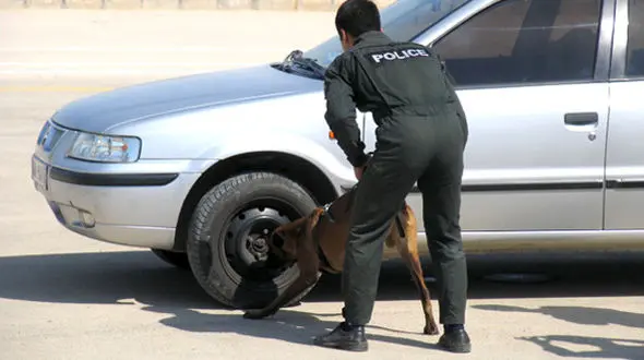 کشف بیش از 300 کیلو مواد مخدر جاساز شده در خودرو پژو