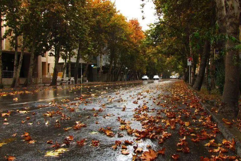 فیلم زیباترین جاده ایران در پاییز / فصل سرخ پایتخت زرشک ایران