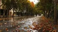 فیلم زیباترین جاده ایران در پاییز  / فصل سرخ پایتخت زرشک ایران
