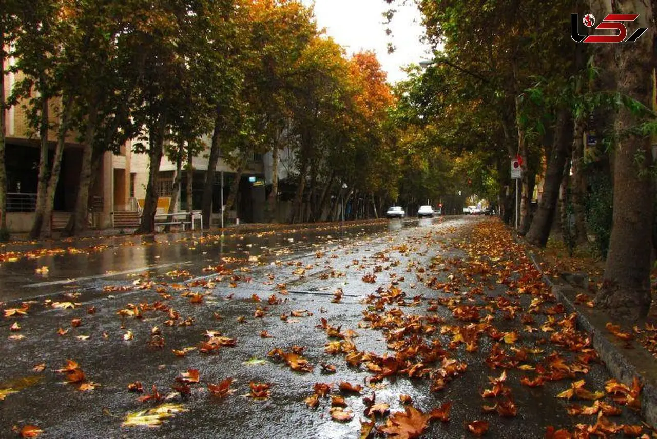فیلم زیباترین جاده ایران در پاییز  / فصل سرخ پایتخت زرشک ایران