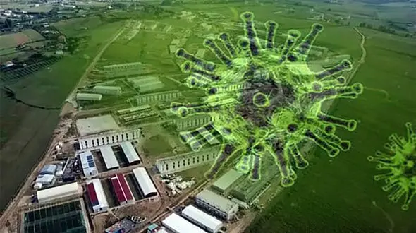 جولان مرگ کرونا در کمپ آلبانی منافقین + اسامی 3 کشته کرونایی شده جدید 