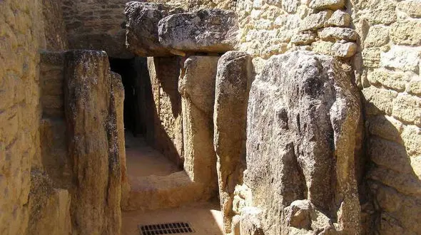 تصویری عجیب از گورستان ماقبل تاریخ+عکس