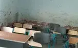 400 دانش آموز بازمانده از تحصیل در 20 کیلومتری تهران ساکن هستند + فیلم