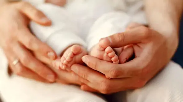 چند نوزاد در سال 1402 به دنیا آمده است؟