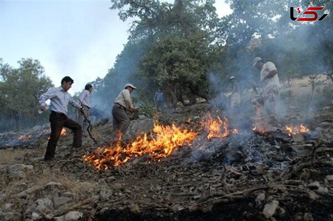 آتش سوزی جنگل های «قاضی خان» ایلام 4 صبح امروز مهار شد + عکس