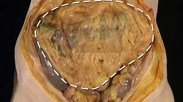 اگر شکمت آب نمی شود این مطلب را بخوان