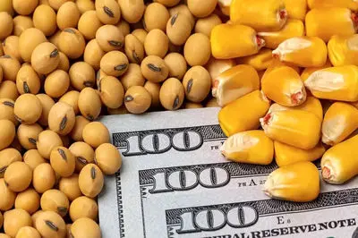 روند تامین ارز کالاهای اساسی و دارو طبق قانون بودجه 1404 ادامه دارد