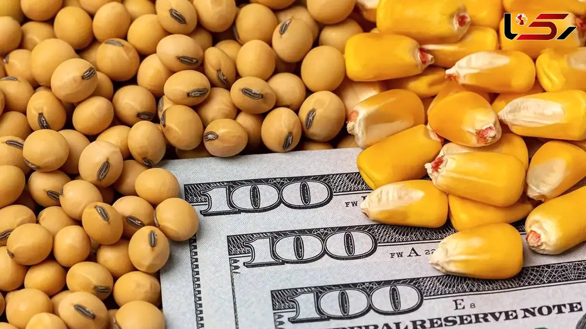 روند تامین ارز کالاهای اساسی و دارو طبق قانون بودجه 1404 ادامه دارد