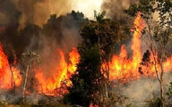 آتش‌سوزی در ۳۵ هکتار از مراتع سمیرم 