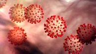 ویروس کرونا حداکثر تا چند ساعت روی سطوح زنده می ماند؟ 
