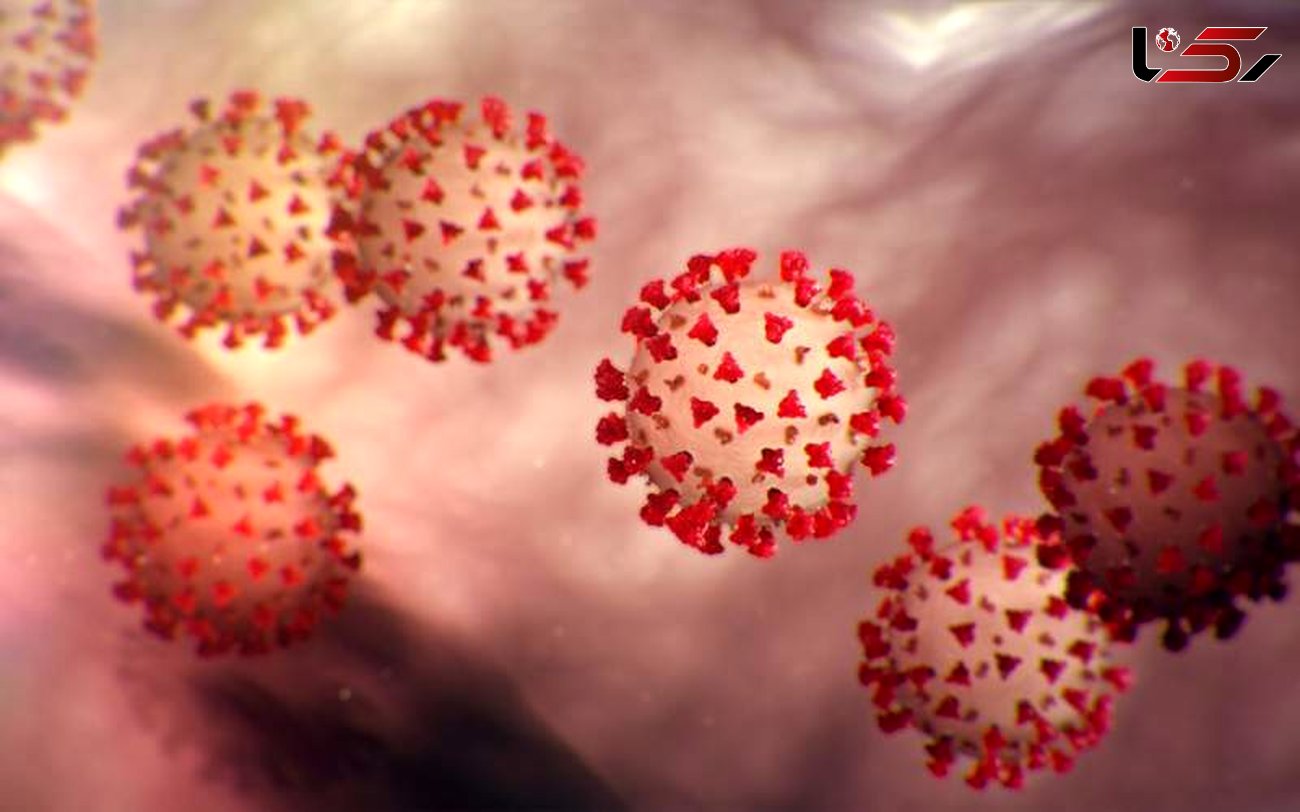 ویروس کرونا حداکثر تا چند ساعت روی سطوح زنده می ماند؟ 