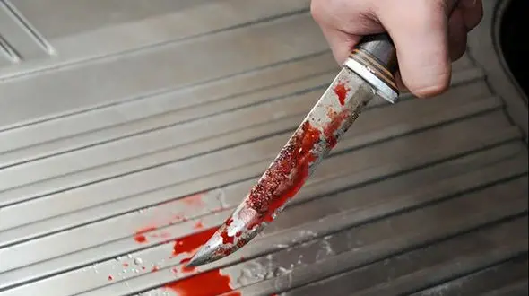 برادرکشی فجیع در باغ متروکه / اعترافات قاتل برادرکش در شیروان