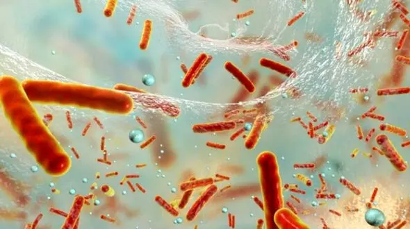 عجیب اما واقعی/ یک قطره آب چقدر باکتری دارد + فیلم