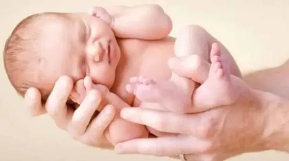 نسخه گیاهی برای تقویت تخمدان و افزایش باروری بانوان  و کاهش علائم یائسگی 