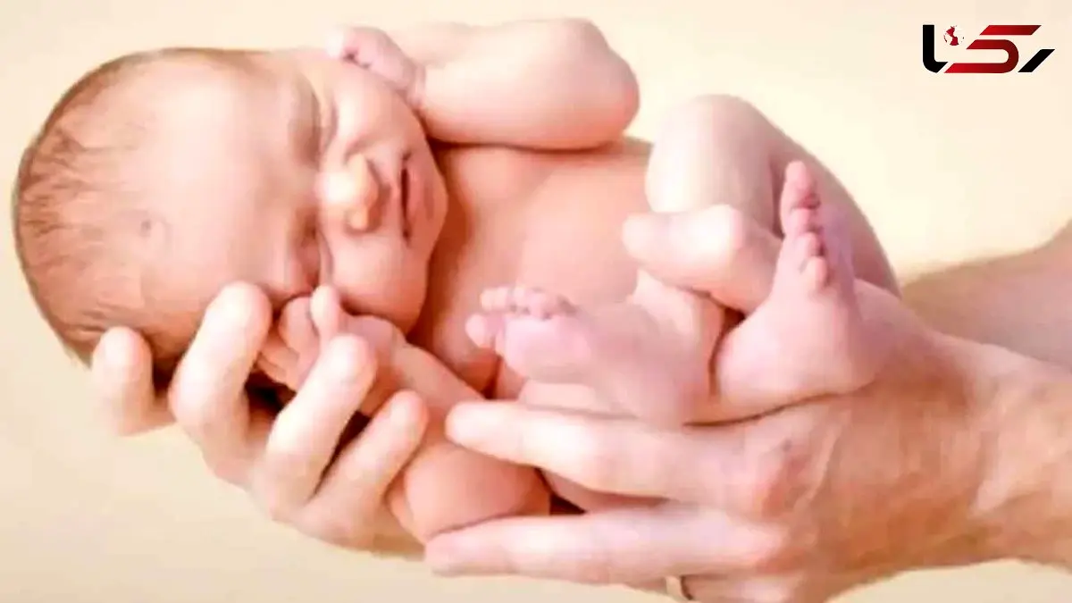 نسخه گیاهی برای تقویت تخمدان و افزایش باروری بانوان  و کاهش علائم یائسگی 