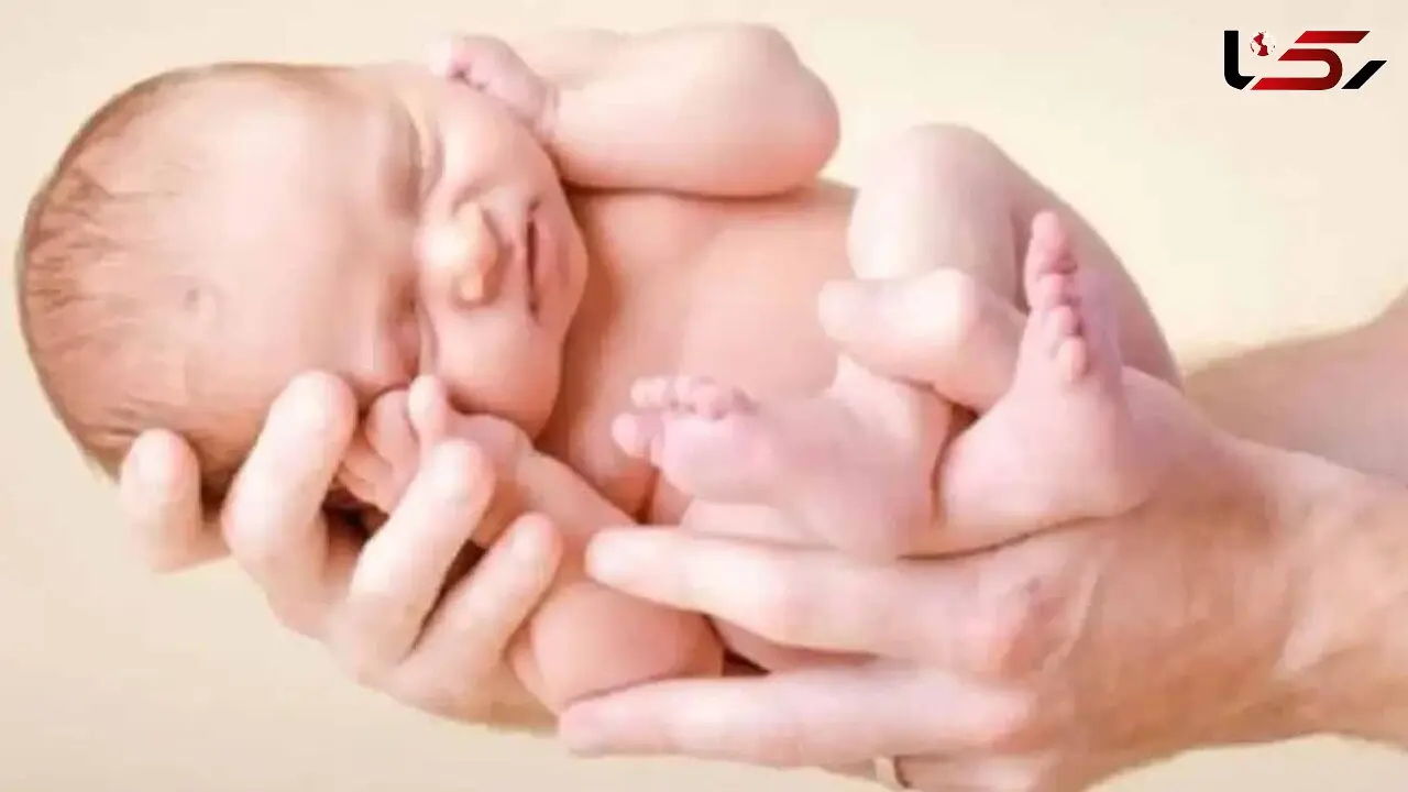 نسخه گیاهی برای تقویت تخمدان و افزایش باروری بانوان  و کاهش علائم یائسگی 