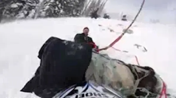 اعزام هلیکوپتر امداد برای نجات اسب گرفتار در ارتفاعات برفی+فیلم