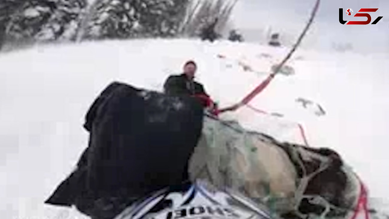 اعزام هلیکوپتر امداد برای نجات اسب گرفتار در ارتفاعات برفی+فیلم