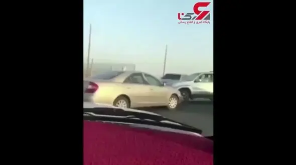 وحشت رانندگان از پرسه شیر سرگردان در جاده! + تصویر