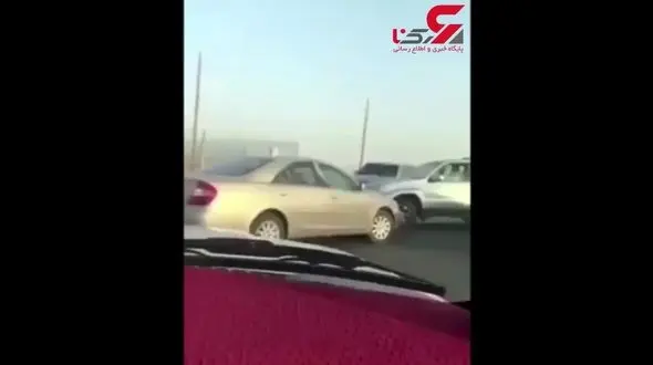 وحشت رانندگان از پرسه شیر سرگردان در جاده! + تصویر