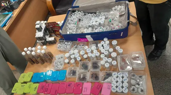 کشف محموله خزندگان قاچاق از کوالالامپور در فرودگاه امام خمینی