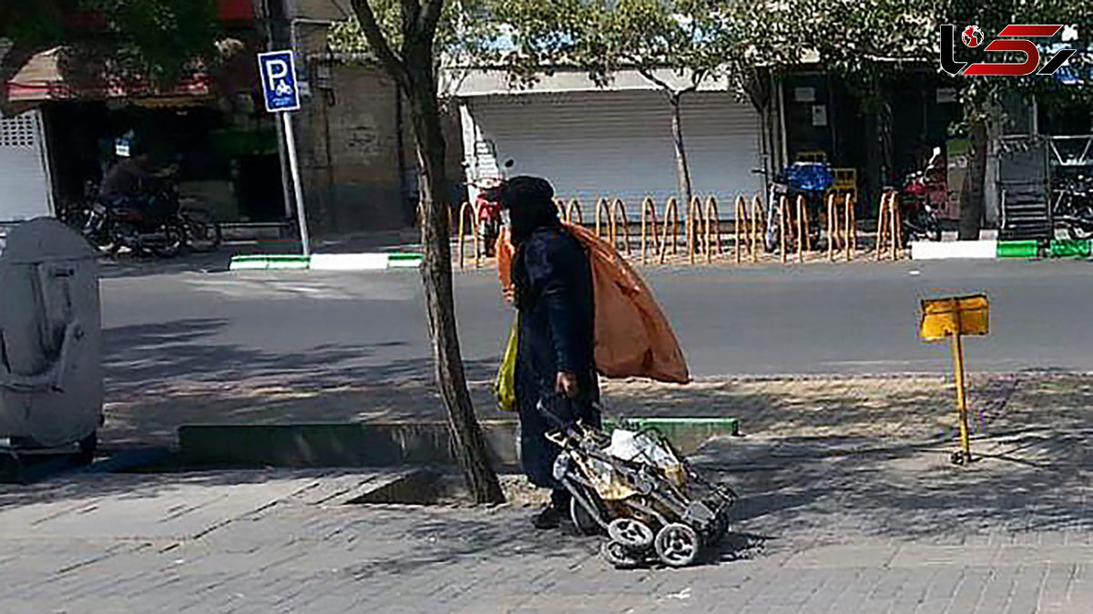 مدیر شهرداری :زباله گردها زیر نظر پیمانکاران نیستند/ نیاز ورود مدعی العموم به پرونده مافیای طلای کثیف شهر تهران