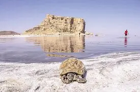 فیلم دریاچه ارومیه ۱۰۰ سال پیش / سیاه و سفید اما چشم نواز با قایق های چوبی