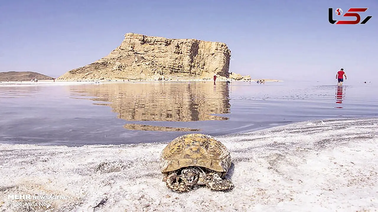 4 برابر شدن مساحت اراضی کشاورزی اطراف دریاچه ارومیه در طول 20 سال/تونل کانی سیب به تنهایی نجاتگر نیست