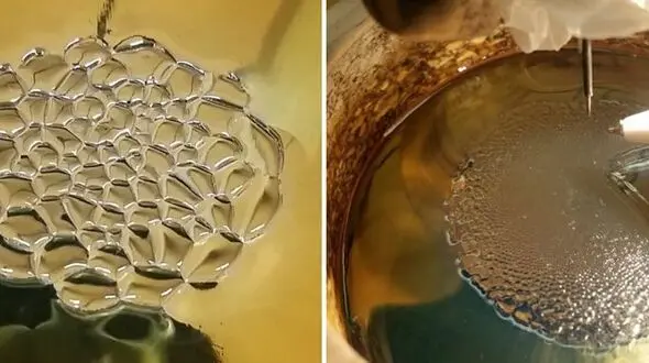 عکسبرداری از کندوی عسل الکترونیک برای اولین بار