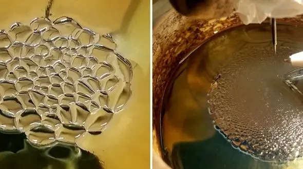 عکسبرداری از کندوی عسل الکترونیک برای اولین بار