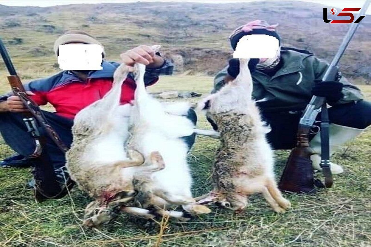 دستگیری 5 شکارچی خرگوش در مهاباد