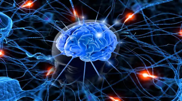 9 میانبر برا ی افزایش قدرت مغز+ فیلم 